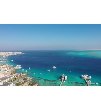 Шарм Эль Шейх из Ташкента